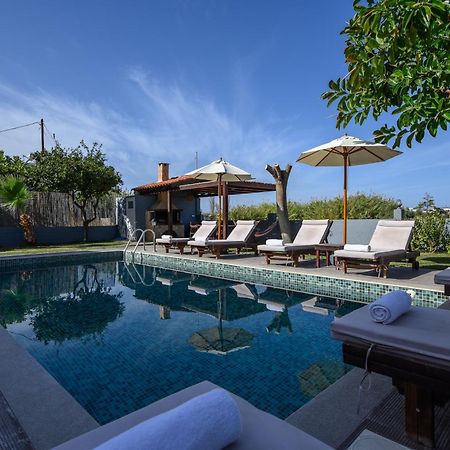 Platanias Villa Spyros Dış mekan fotoğraf